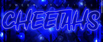 Lady cheetahs <3