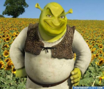 you didn't see this