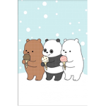 We the bare bears