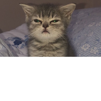 qwert