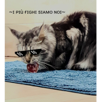 ~ɪ ᴘɪù ғɪɢʜɪ sɪᴀᴍᴏ ɴᴏɪ~