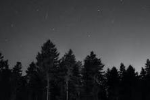 Welcome back adopting kids