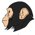 United Monke Federation