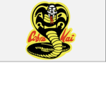 The CoBrA Kai ninjas