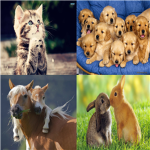 ♘ ROBLOX Animal Lovers ♘
