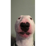 Paoak