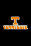 VOLS NATION