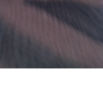 egggy ###### and ham