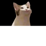 The popping cats