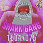 Shark Gang DH