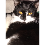 LilyNLizzy