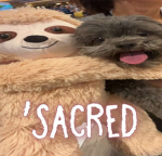 ‘sacred