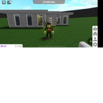 Robloxbesties2424