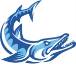 Barracuda Academy College