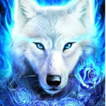 wolf club roblox