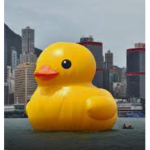 TheDuckss