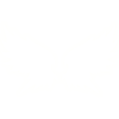 Big Emissive Glowing Transpire Angel Wings