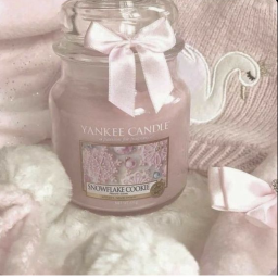 🎀