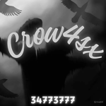 Crow4sx