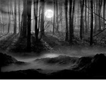 silentnights