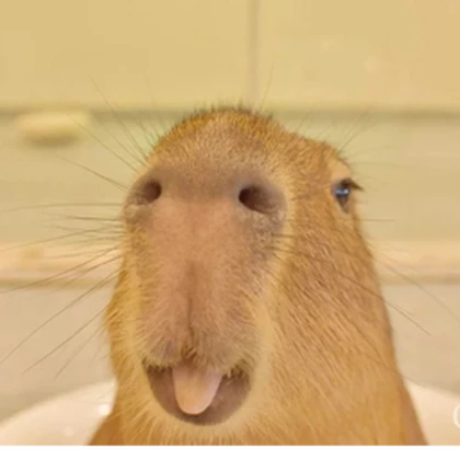Capybara :P Roblox group icon