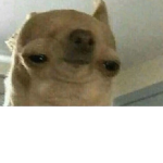 Robux -