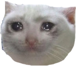 Kono Neko Da