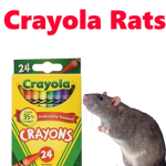 Crayola Rats