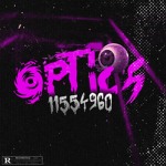 私 Optics