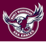 Manly sea eagles fans