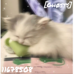 ghø$t$
