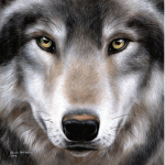 DARK WOLFS 象形字