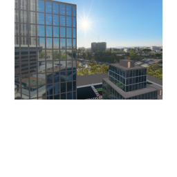 The City (Sequel to The Neighborhood)