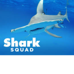 SuperSharks