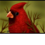 The Red Birds Hangout Company