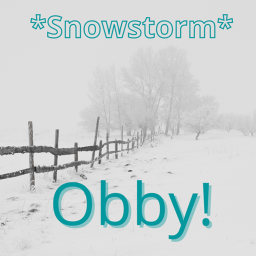 *Snowstorm* Obby!