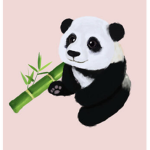 PlantPanda