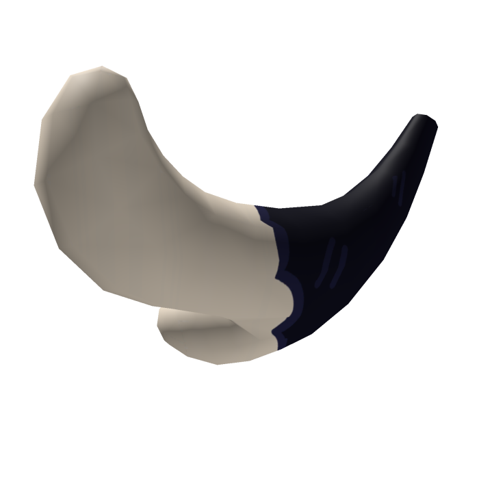 Black and White cat tail