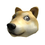 Dᴏɢᴇ Cʟᴏᴛʜɪɴɢ
