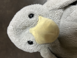 ムグル教