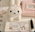 Miffy club!