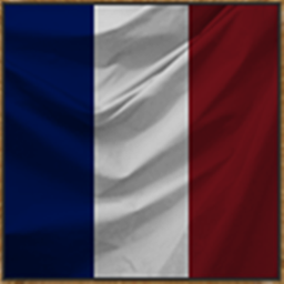 Napoleon's City