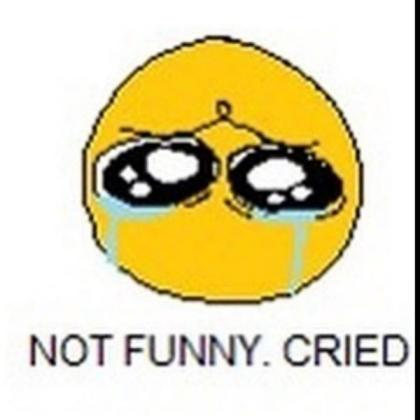 not funny Roblox decal