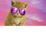 meow meow KITTY GROUP/SQUAD