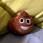 THE POOP_