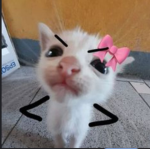 Rebootedyumi
