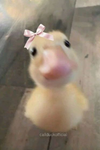 ԋαɳɠσυƚ ʂϙυαԃ