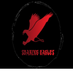 The Soaring Eagles | Karate Academy