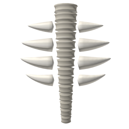 White Skeleton Spine