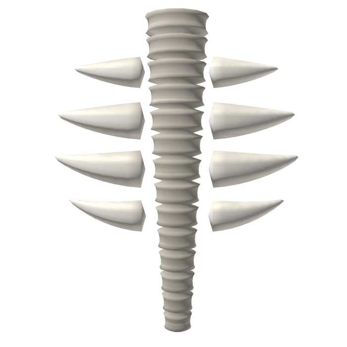 White Skeleton Spine